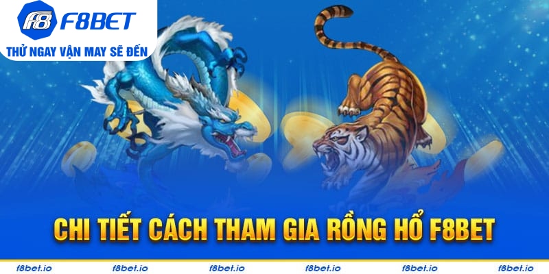 Hướng dẫn chi tiết cách chơi rồng hổ F8bet