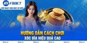 xóc đĩa f8bet