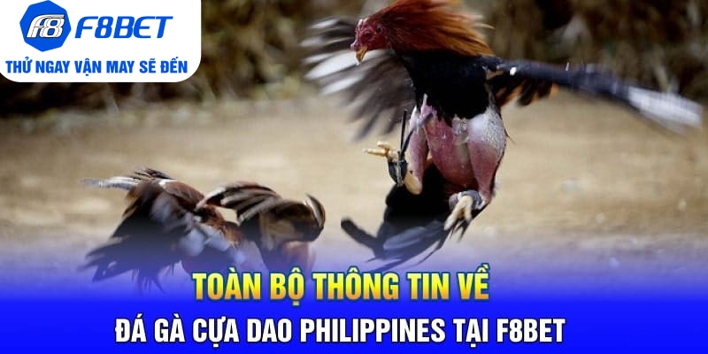 đá gà cựa dao Philippines